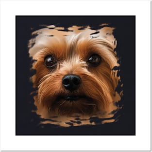 Yorkshire Terrier Face Yorkshire Terrier Dog Lover Posters and Art